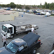 Picture 037